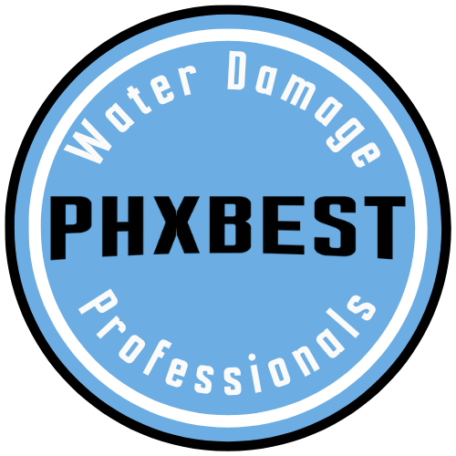 Phoenix Fav icon